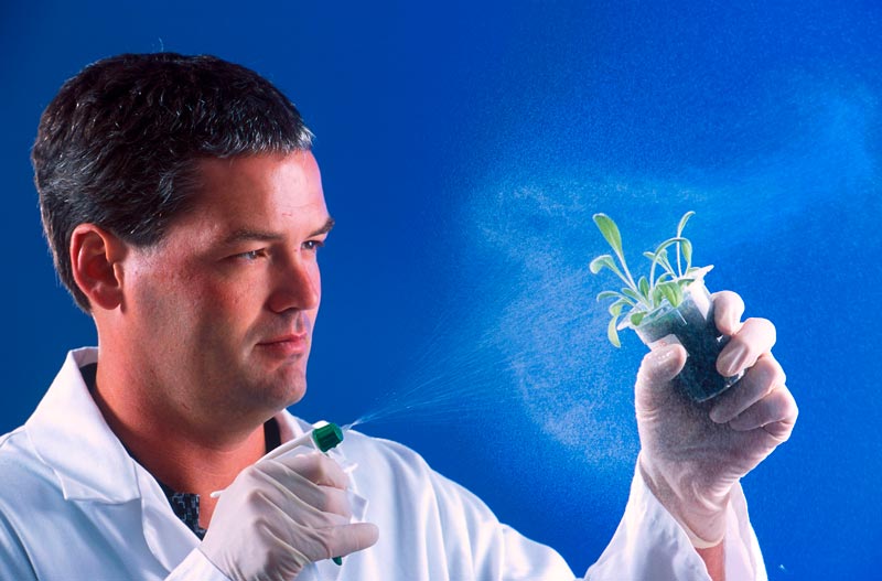 Купить диплом биолога